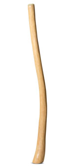 Medium Size Natural Finish Didgeridoo (TW1233)